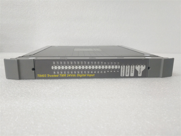 ICS TRIPLEX T8403 (2).jpg