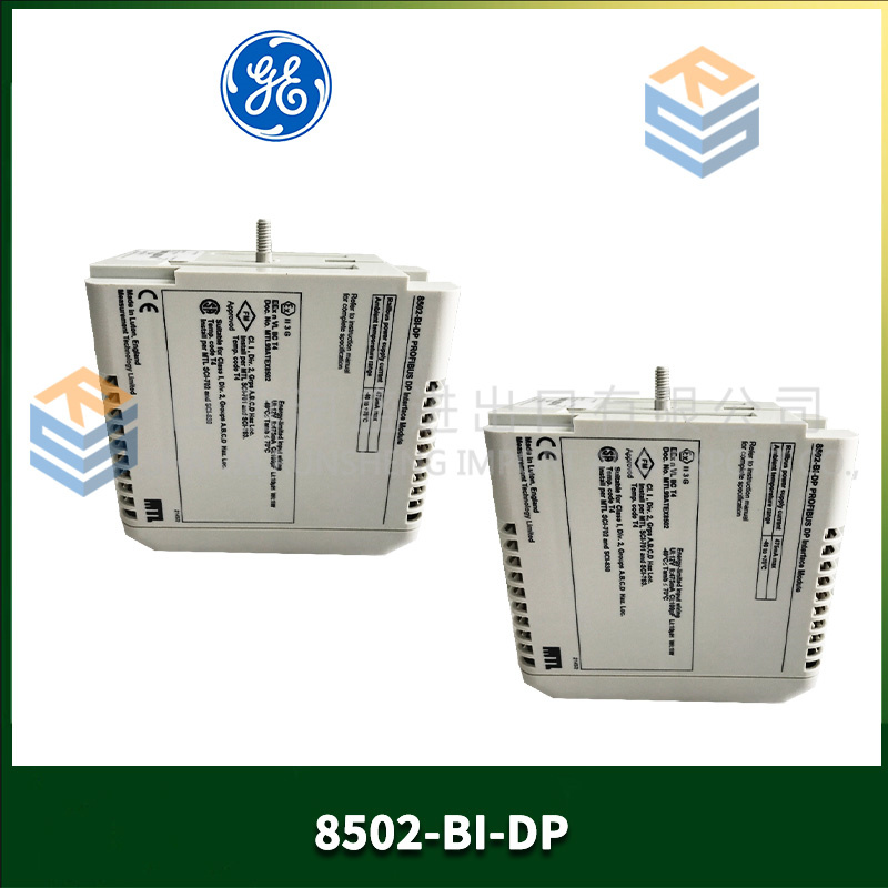 GE 8502-BI-DP (2).jpg