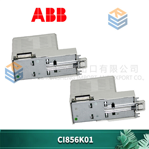 ABB CI856K01 (1).jpg