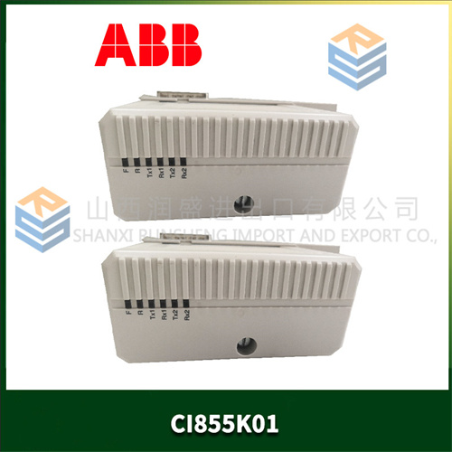 ABB CI855K01 (2).jpg