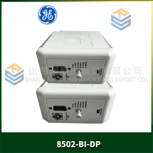 GE 8502-BI-DP (3).jpg