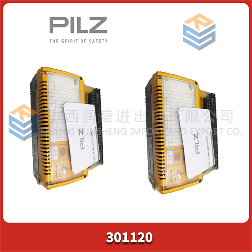 PILZ 301120 (2).jpg